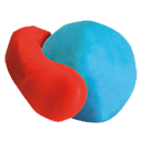Logo COMMUNAUTE DE COMMUNES ARC SUD BRETAGNE