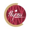 Logo COMMUNE DE PEYRIEU