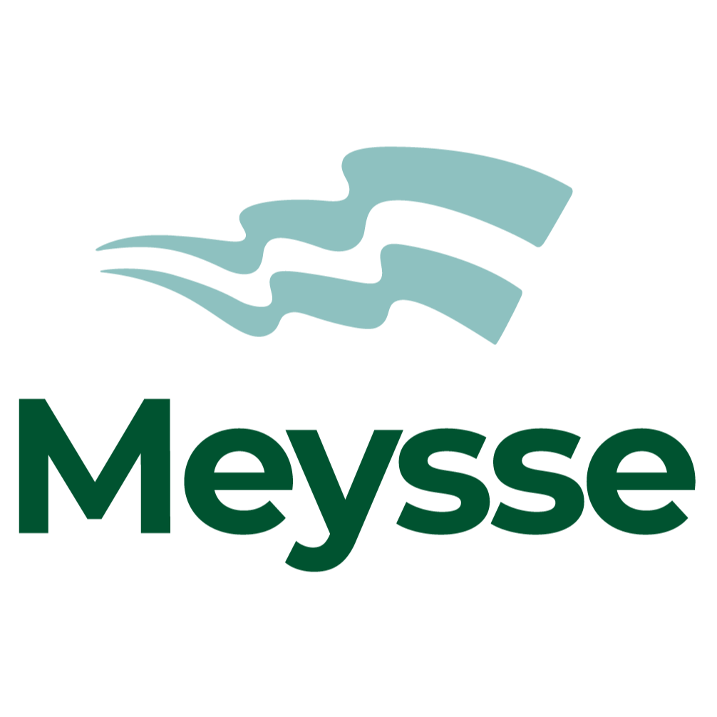 Logo COMMUNE DE MEYSSE