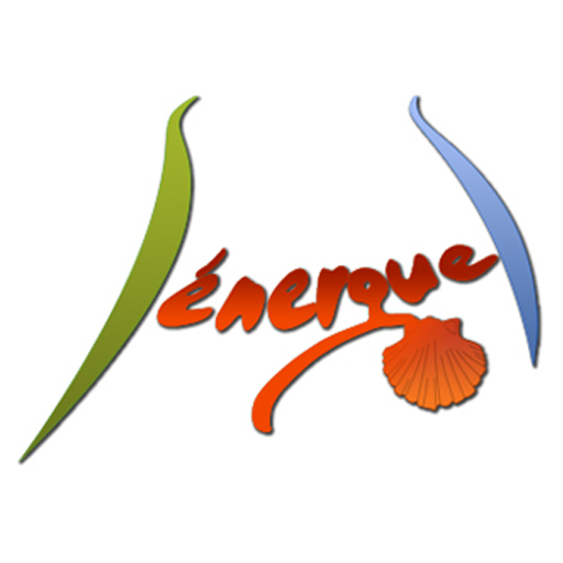 Logo COMMUNE DE SENERGUES