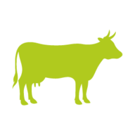 Logo COMMUNE DE LA JONCHERE SAINT MAURICE