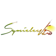 Logo TERRITOIRE D'ENERGIE VAR - SYMIELEC