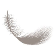 Logo RESIDENCE JOSEPHINE NORMAND