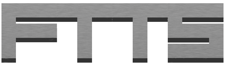Logo FTTS
