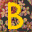 Logo SA BOBIN