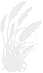 Logo COULEURS VENDEE