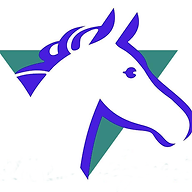 Logo CENTRE EQUESTRE DE LAVAL