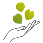 Logo ASSOCIATION LES AMIS DES TILLEULS