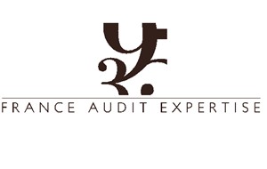 Logo FRANCE AUDIT EXPERTISE