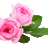 Logo MADAME LUCIENNE FAUCHER