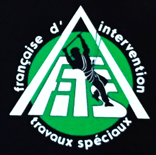 Logo FSE INTERVENTION TRAV SPECIAUX