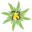 Logo SARL ETOILE DES NEIGES