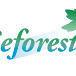Logo SERVICES ENTRETIEN FORESTAGE