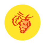 Logo SARL CAVE AVONNAISE