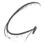 Logo CARTHUSIAN
