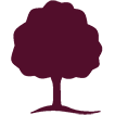 Logo EVREUX BOIS
