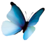 Logo MICHEL MARCHETTI