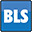 Logo B.L.S.MAGNET