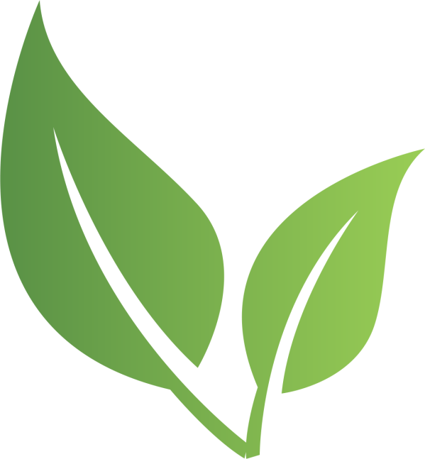 Logo LABORATOIRE DE LUCHON - VITALMINE LAULY