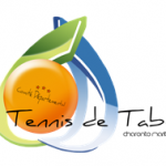 Logo COMITE DEP TENNIS TABLE 17