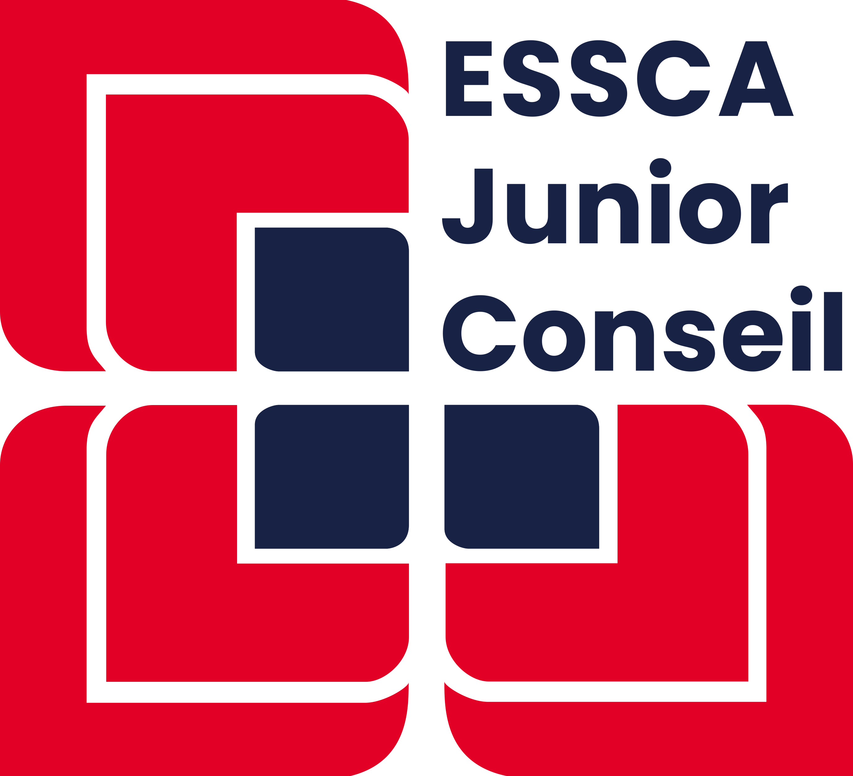 Logo ESSCA JUNIOR CONSEIL