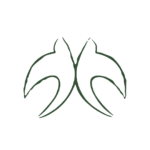 Logo VENTILO