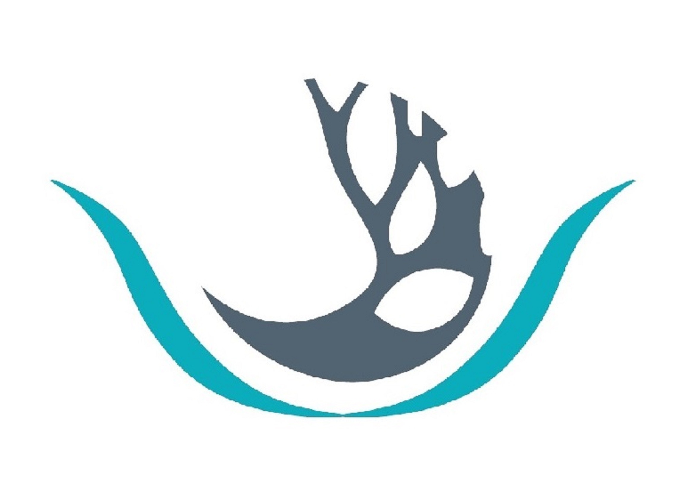 Logo ECOLE D'ENSEIGNEMENT SUPERIEUR PRIVE DES ARTS DE LA COSMETOLOGIE ET DE L'ESTHETIQUE BEAUTE THALGO INTERNATIONALE
