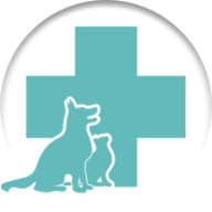 Logo MONSIEUR XAVIER BASTIAN