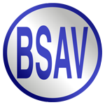 Logo B S A V