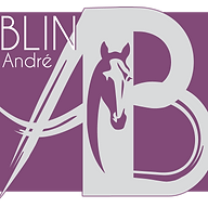 Logo ENTREPRISE A BLIN