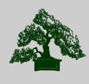 Logo L'ATELIER DU BONSAI