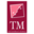 Logo TM INTERNATIONAL