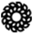Logo FUNERAIRE LAURENT PINTURIER