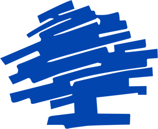 Logo RBS FRANCE
