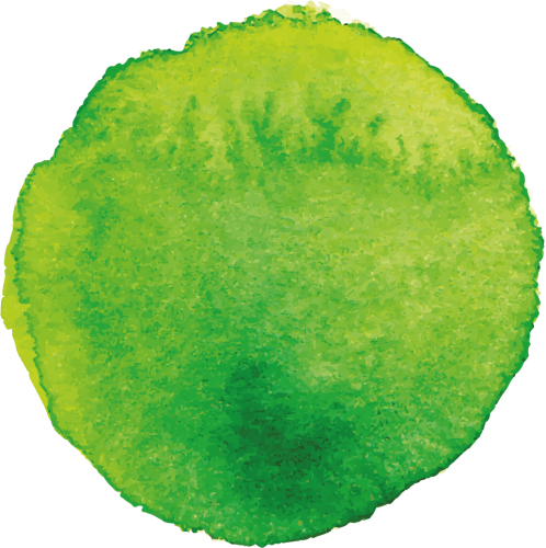 Logo GREEN STYLE