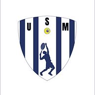 Logo UNION SPORTIVE DU MANS