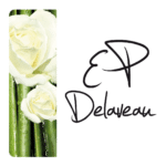 Logo ERIC PIERRE DELAVEAU