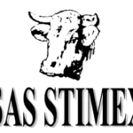 Logo SA STIMEX