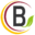 Logo SAS BORDRON ASSOCIES