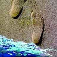 Logo MADAME CLAUDIA GUTIERREZ DAVILA