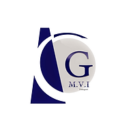 Logo GMVI