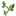 Logo MEDIMAT