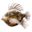 Logo AQUARIUM DU LIMOUSIN