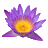 Logo MADAME MARYLINE CACERES
