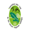 Logo ASSOCIATION DES AMIS DU PARC NATUREL REGIONAL DE LA MARTINIQUE