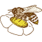 Logo OLHASSOUR