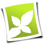 Logo LA MENTHE SAUVAGE