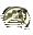 Logo LA SCIA 1800