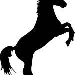 Logo LE CHEVAL NOIR