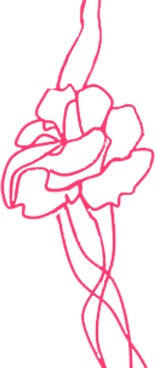 Logo SOCIETE FINANCIERE PATURAL